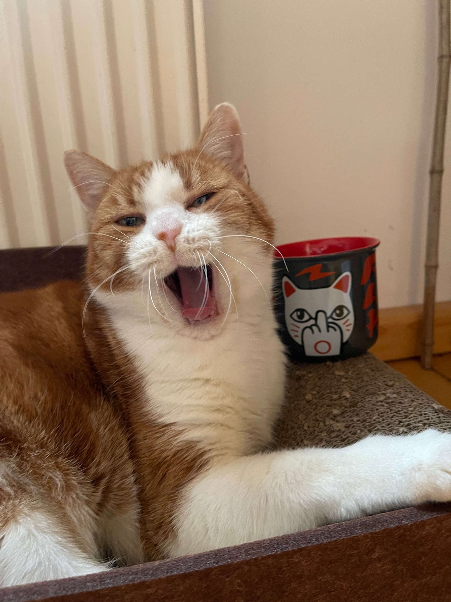 Tasse „F You Neko“ – Lucky Cat mit Attitüde